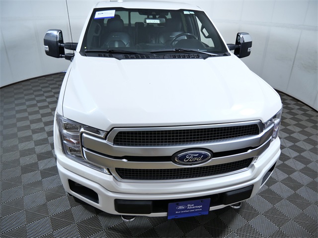 2019 Ford F-150 Platinum photo 3