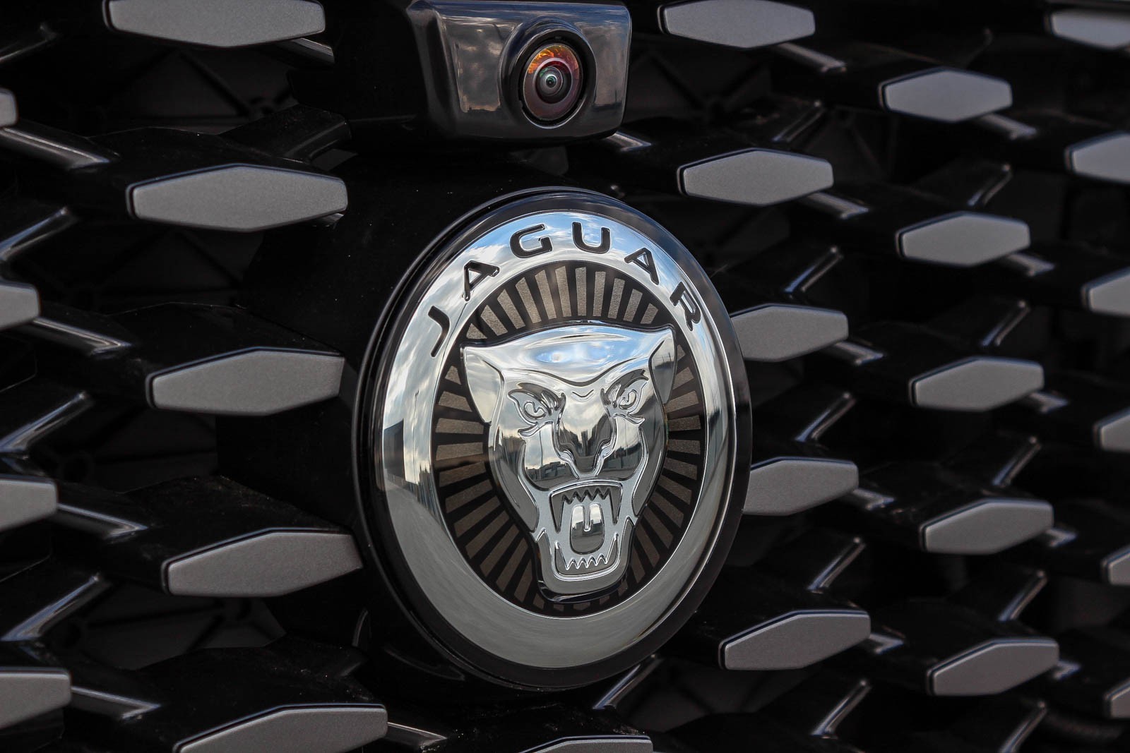 2024 Jaguar F-PACE P250 R-Dynamic S photo 5