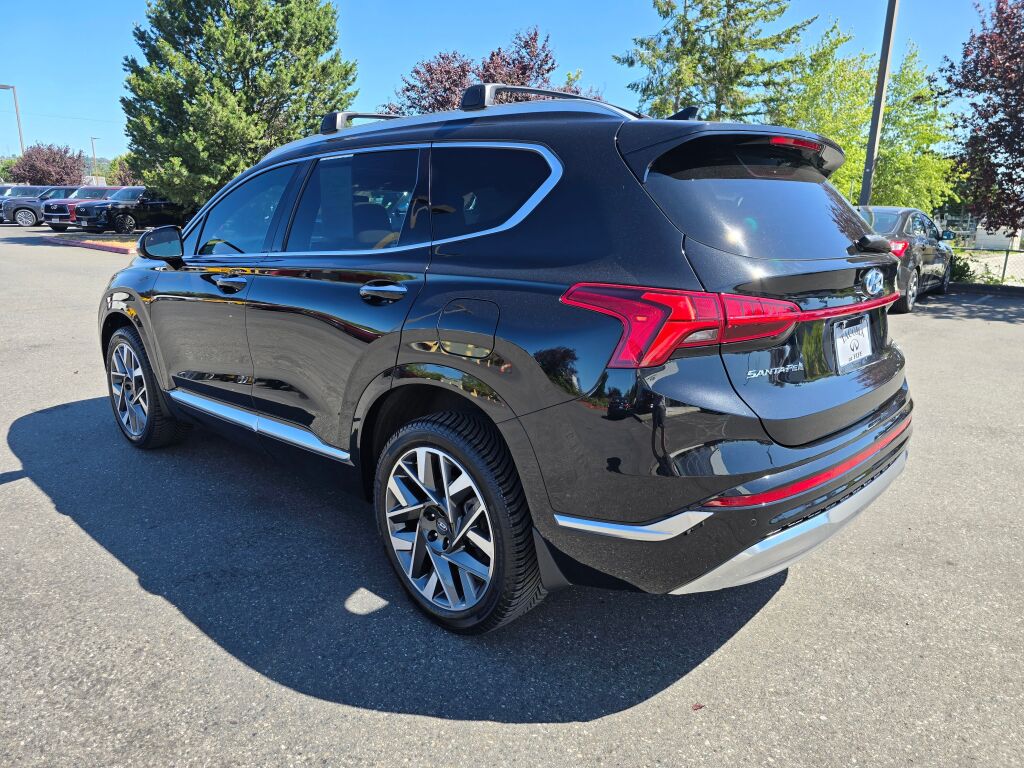 2023 Hyundai Santa Fe Calligraphy photo 3