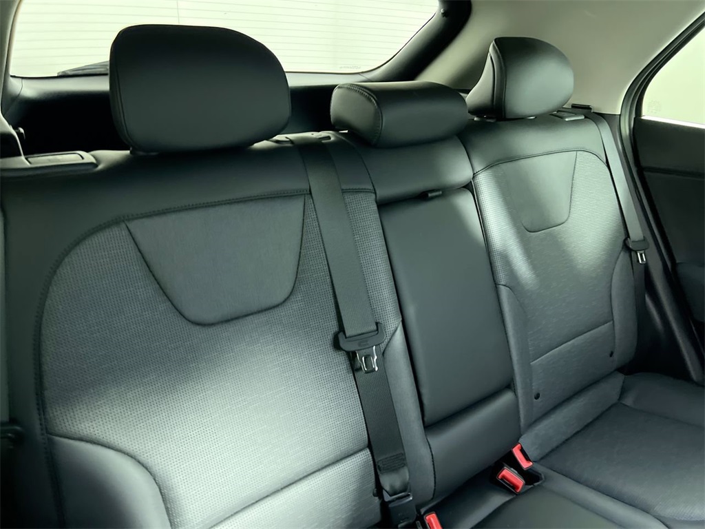 2025 Kia Niro EV Wave photo 31