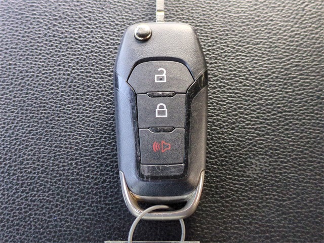 2021 Ford F-150 Tremor photo 26