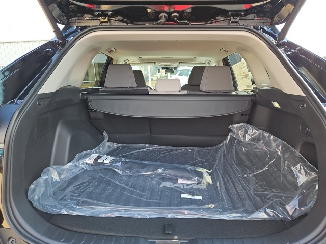 2025 Toyota RAV4 Hybrid XLE photo 11