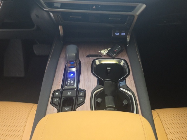 2023 Lexus RX 350 Premium photo 16