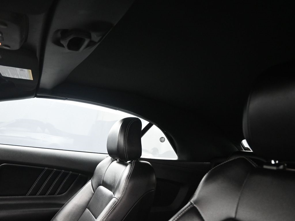 2023 Ford Mustang EcoBoost Premium photo 6