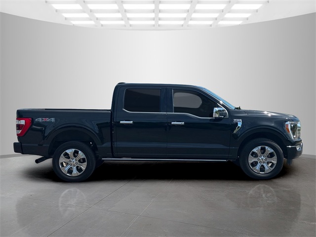 2021 Ford F-150 Platinum photo 7