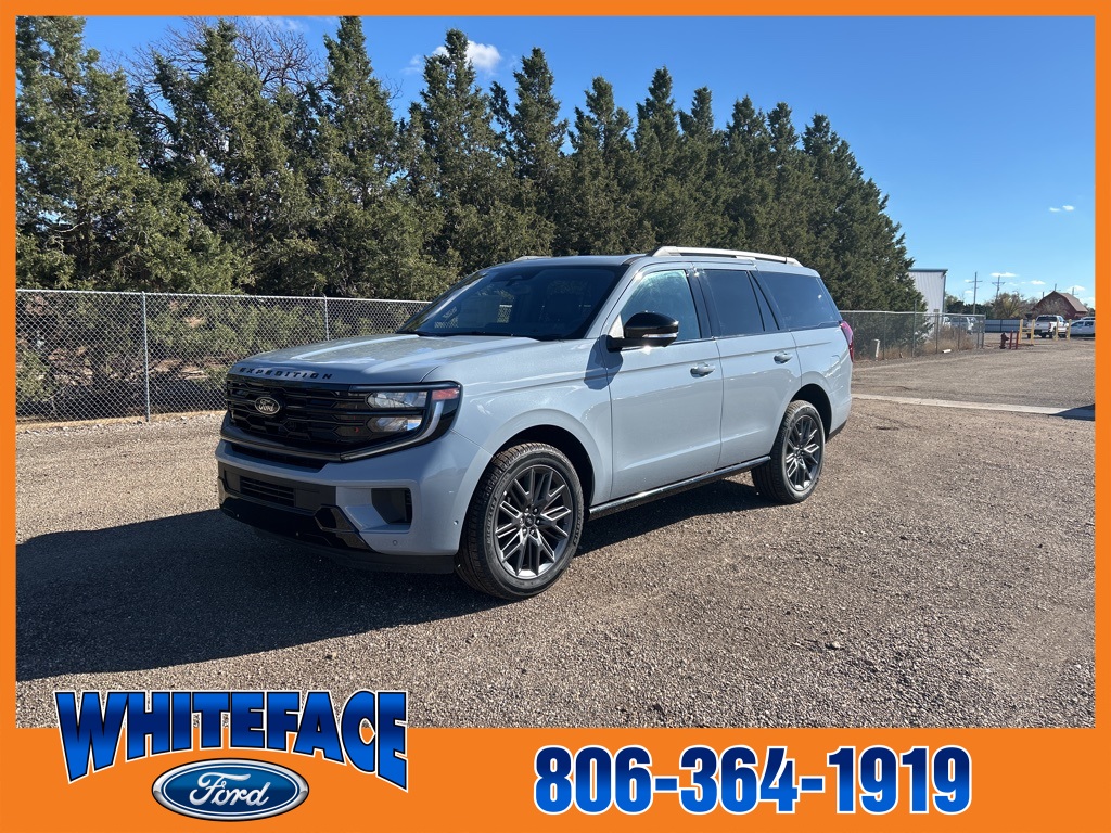 2025 Ford Expedition Platinum's photo