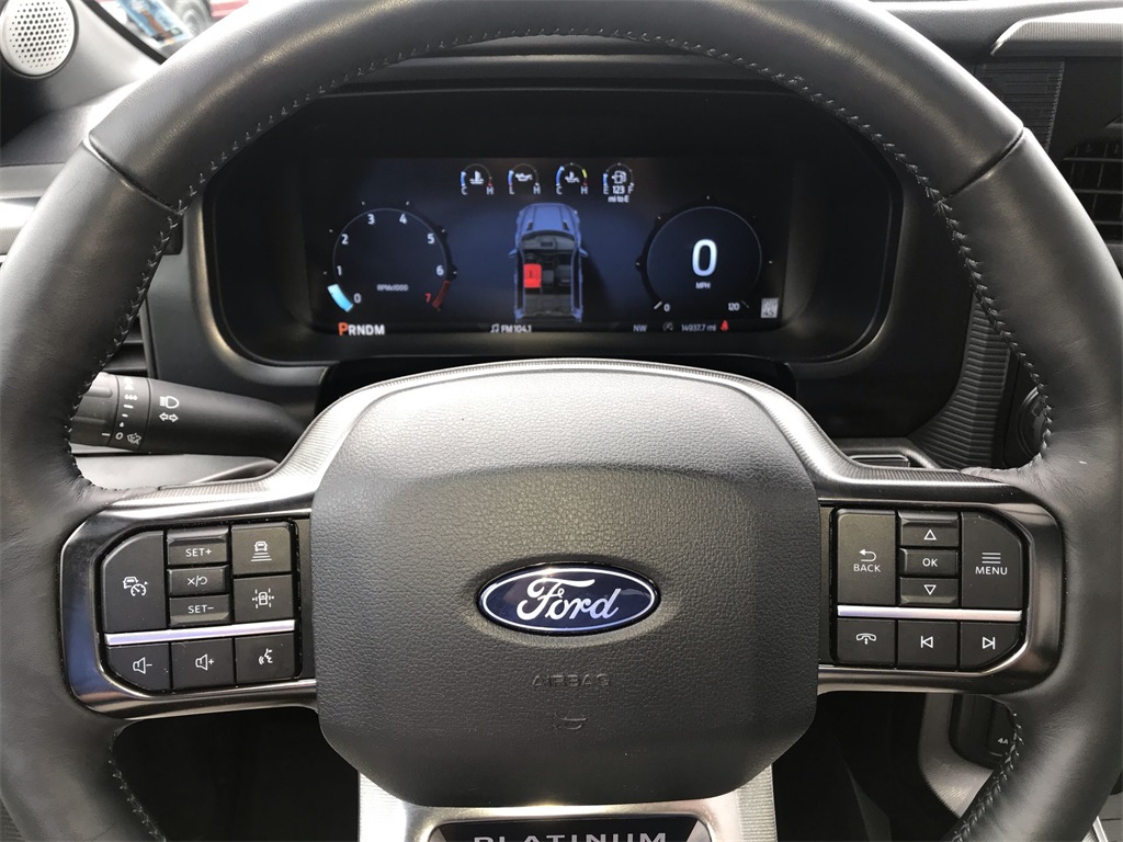 2024 Ford F-150 Platinum photo 14