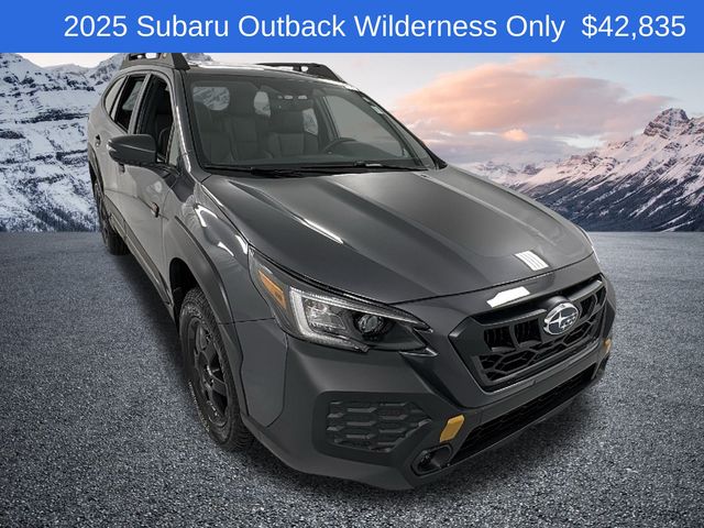 2025 Subaru Outback Wilderness's photo