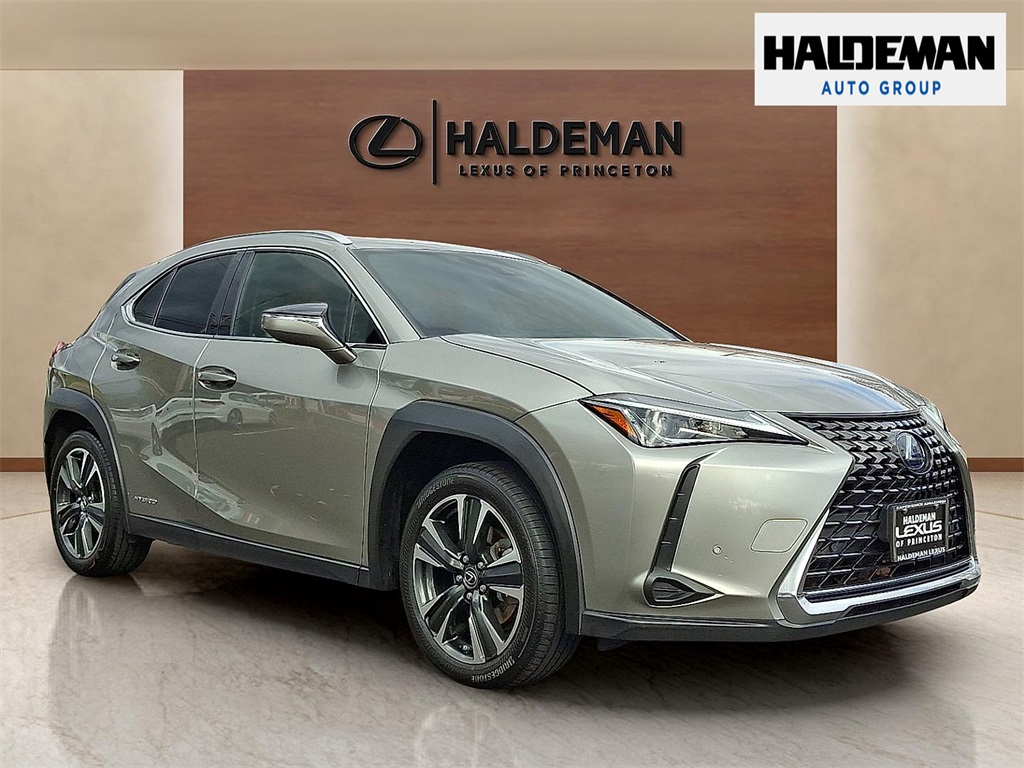 2020 Lexus UX Hybrid 250h's photo