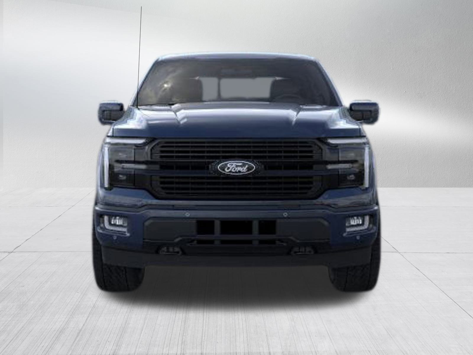 2025 Ford F-150 Platinum photo 2