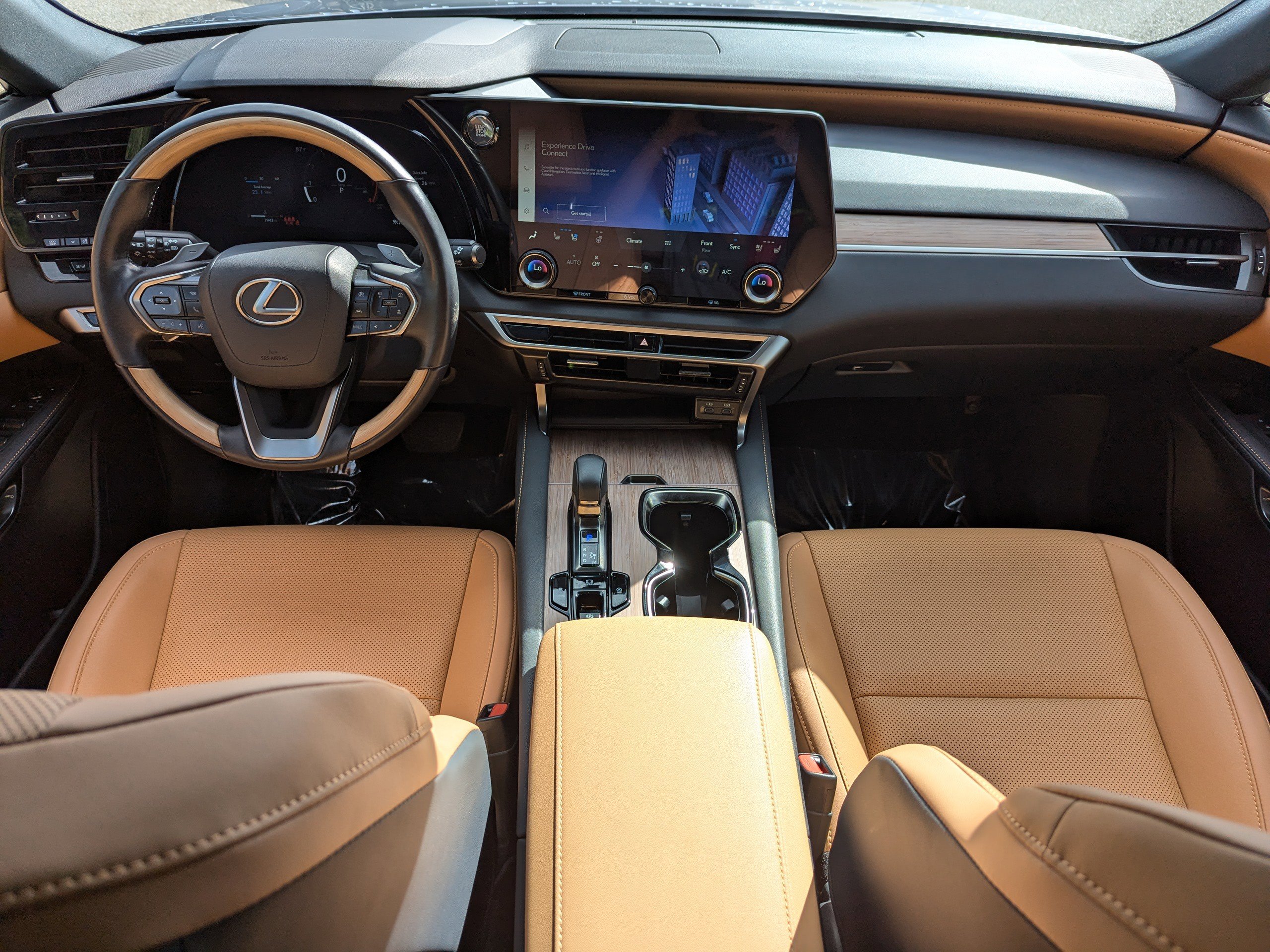 2025 Lexus RX 350 photo 14