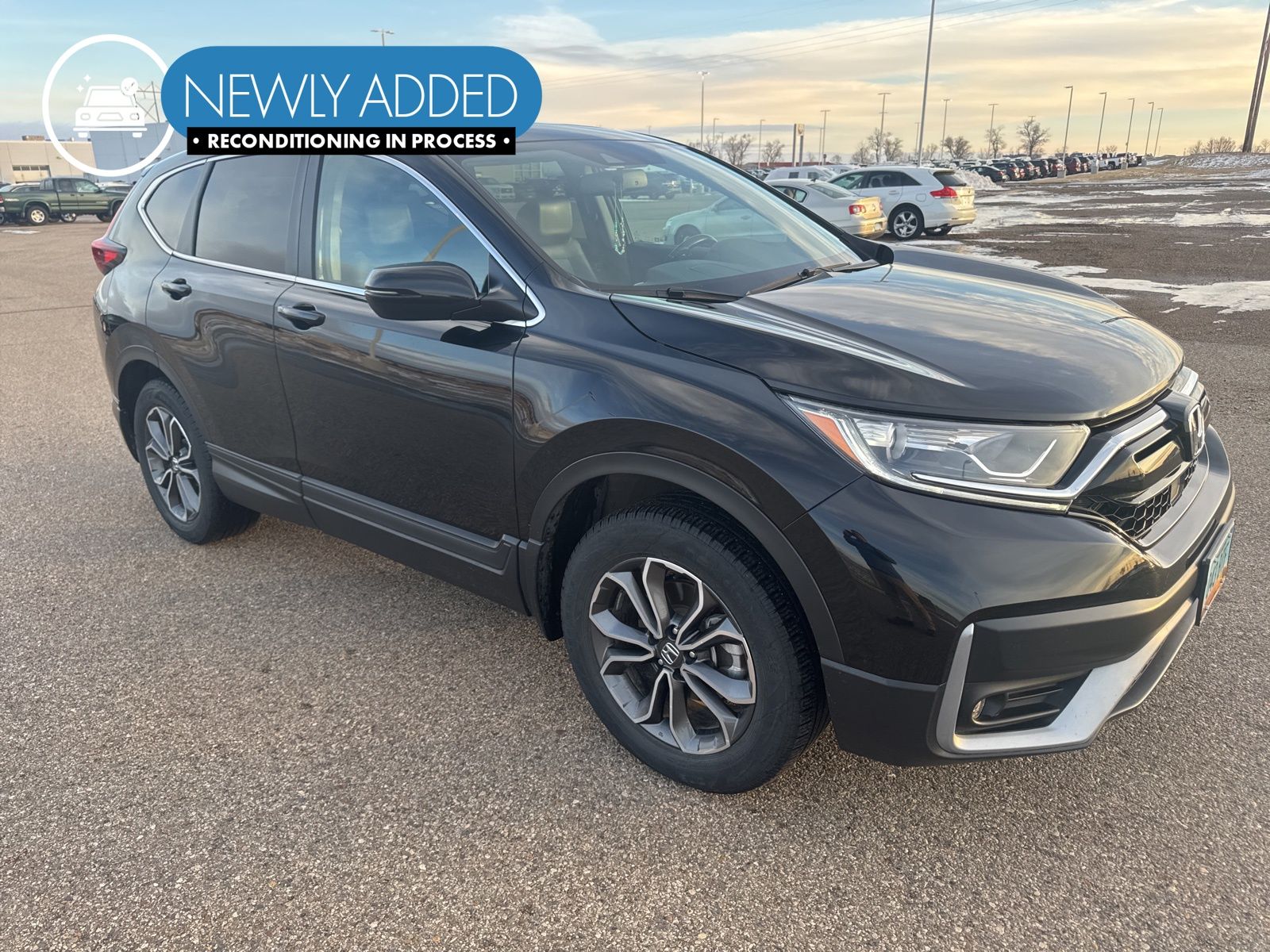 2020 Honda CR-V EX-L's photo