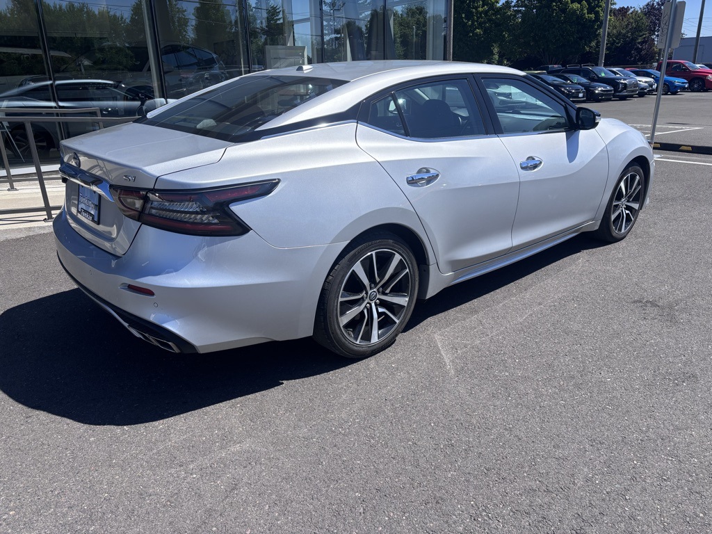 2023 Nissan Maxima SV photo 6