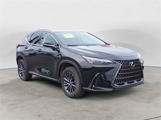 2024 Lexus NX 350h Premium photo 7