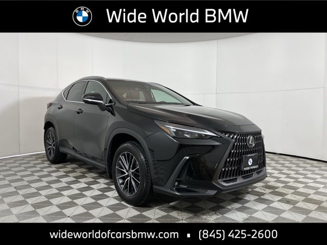 2024 Lexus NX 250's photo