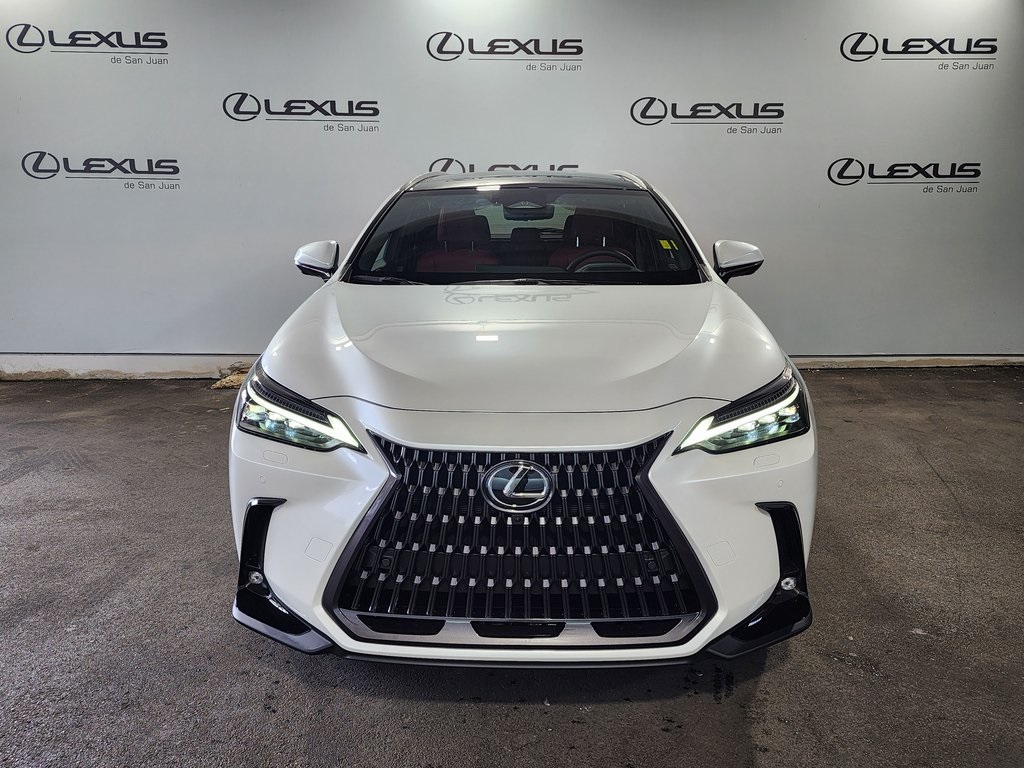 2025 Lexus NX 350h Premium AWD photo 2