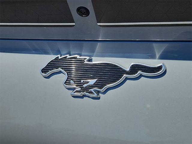 2025 Ford Mustang Mach-E GT photo 22