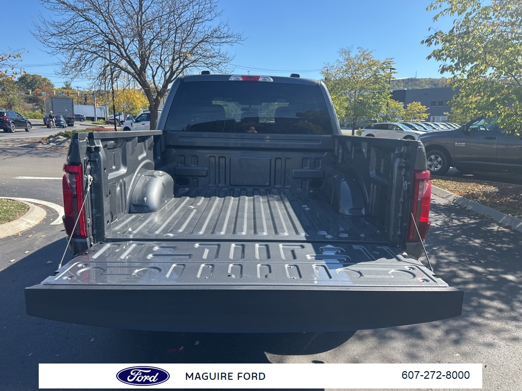 2025 Ford F-150 STX photo 10