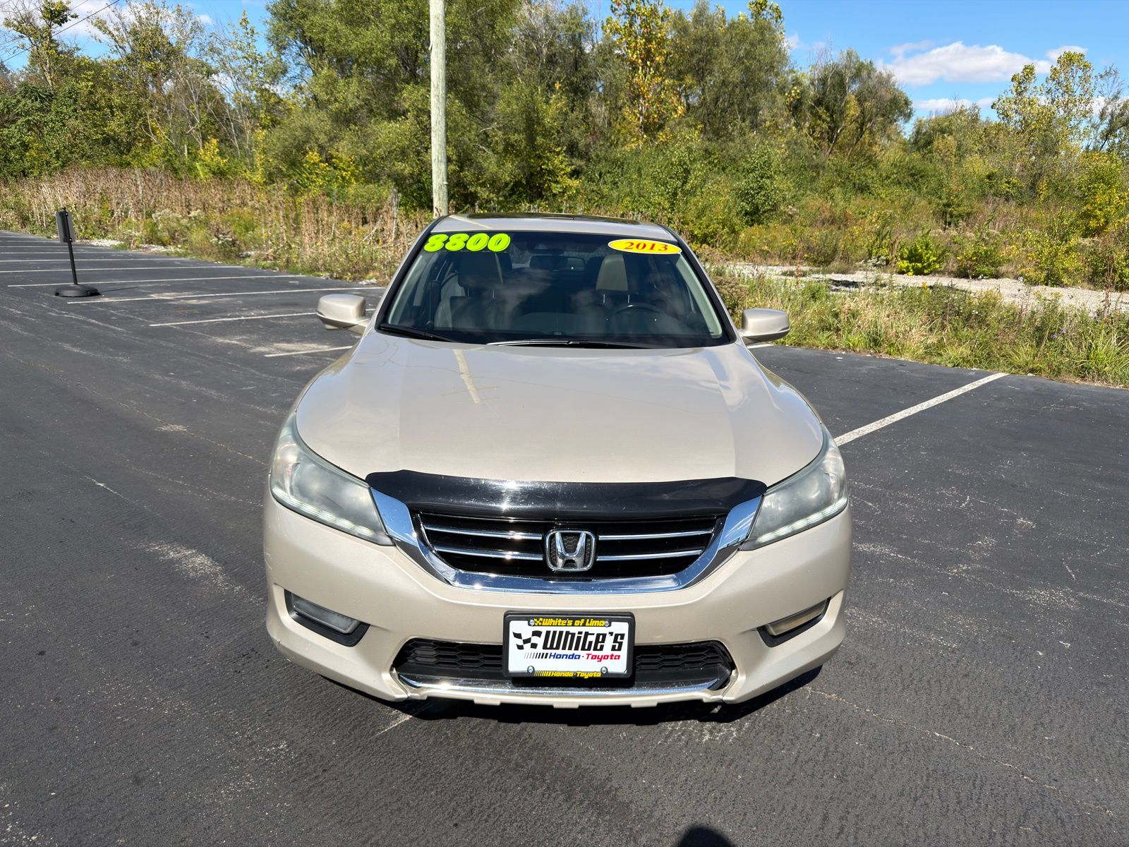 View 9