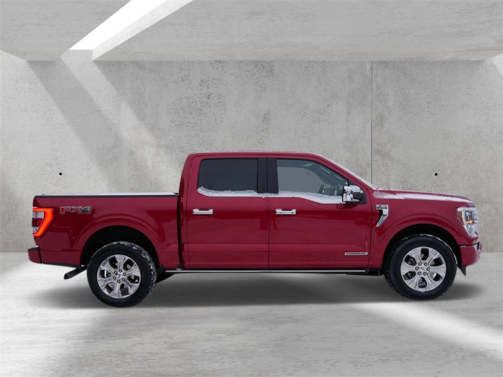 Certified 2021 Ford F-150 Platinum with VIN 1FTFW1ED8MFC95569 for sale in White Bear Lake, Minnesota