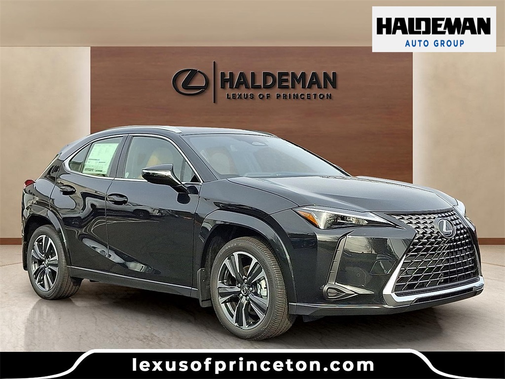 2025 Lexus UX Hybrid 300h Premium's photo