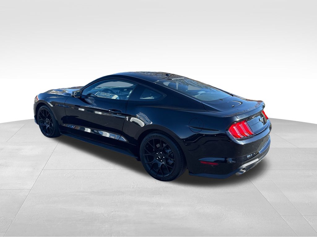 2019 Ford Mustang EcoBoost photo 3
