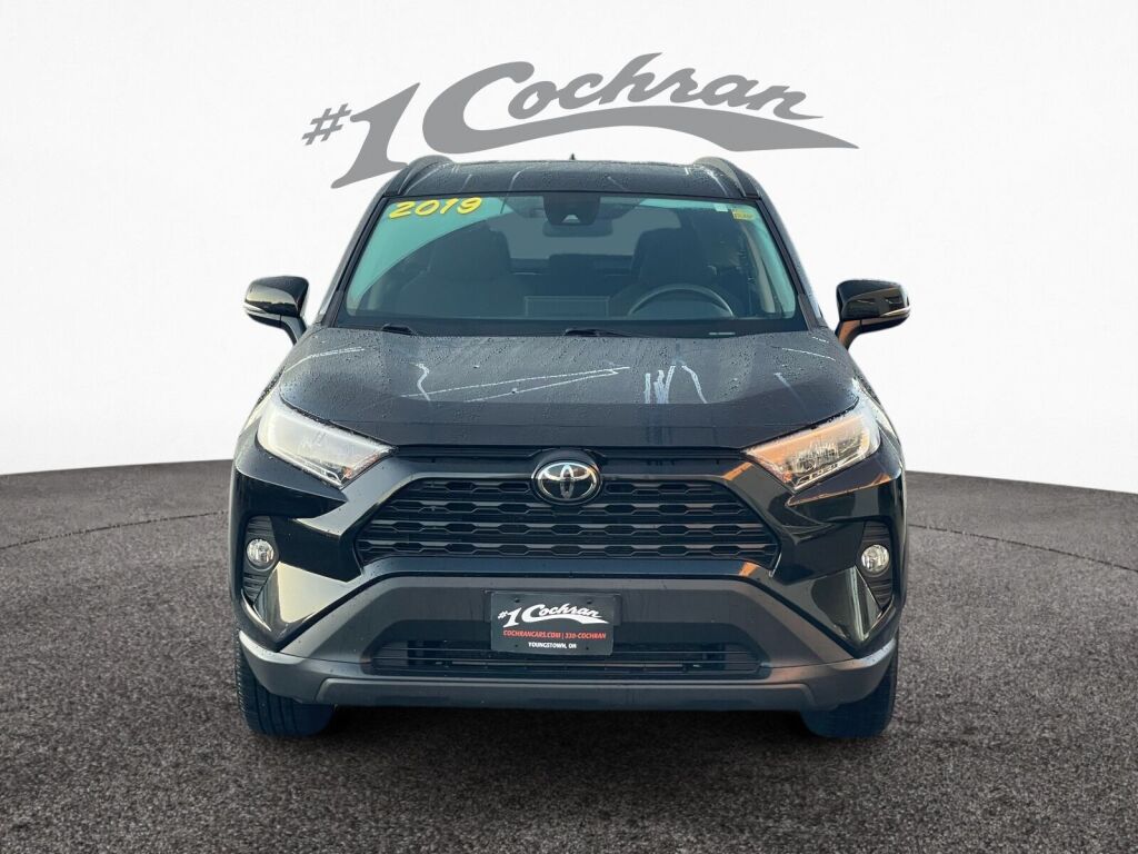 2019 Toyota RAV4 XLE photo 2
