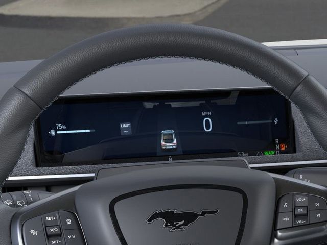 2025 Ford Mustang Mach-E GT photo 13