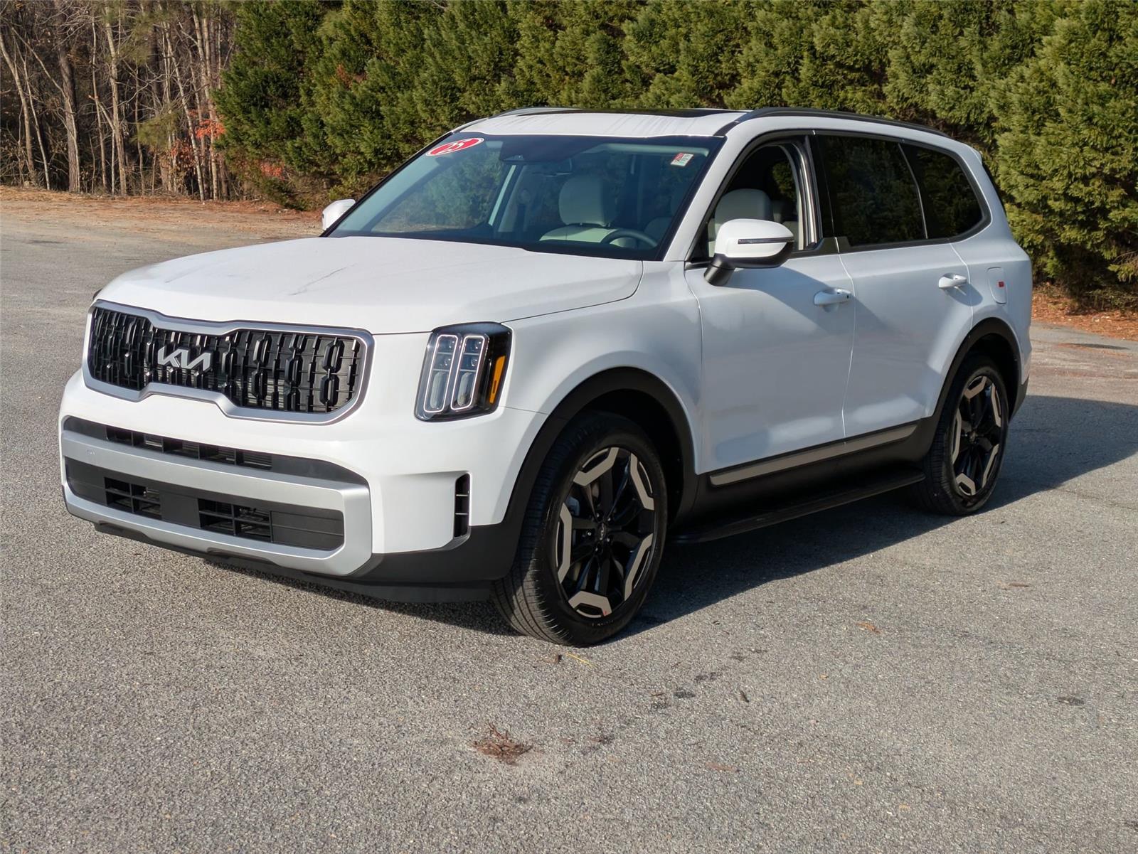 2025 Kia Telluride EX's photo