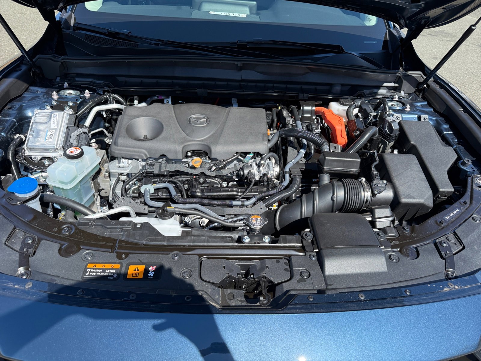 View 20