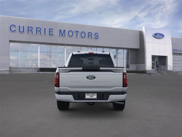2025 FORD F-150 - Image 27