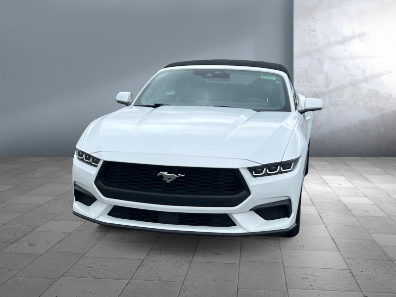 Used 2024 Ford Mustang EcoBoost with VIN 1FAGP8UH4R5133763 for sale in Worthington, Minnesota