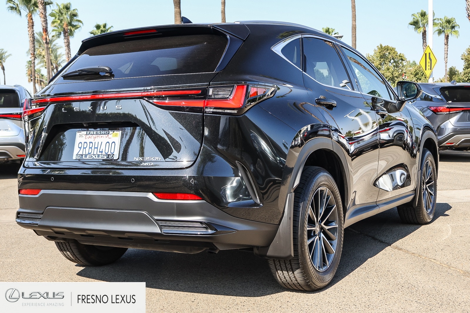 2025 Lexus NX 350h Premium photo 5