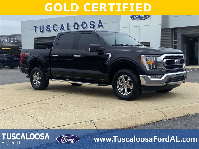 2023 Ford F-150 XLT's photo