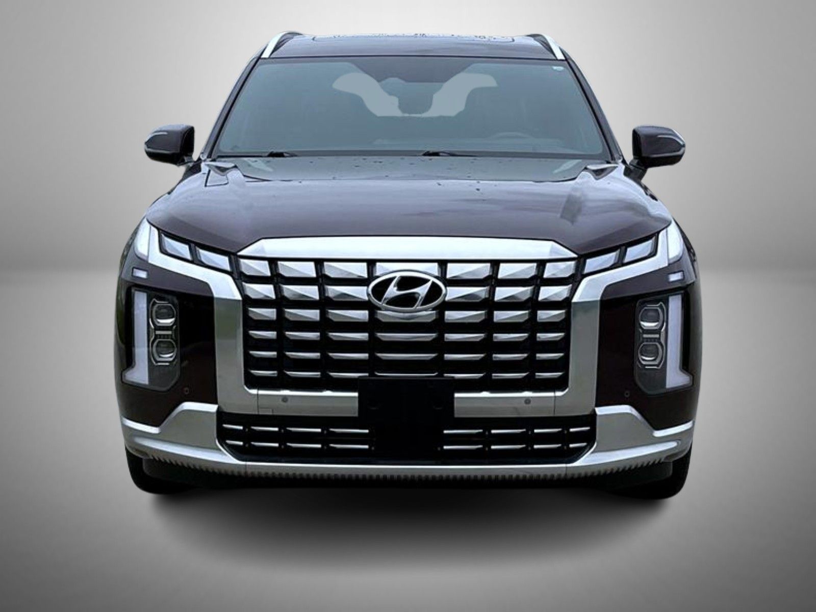 2025 Hyundai Palisade Calligraphy photo 2
