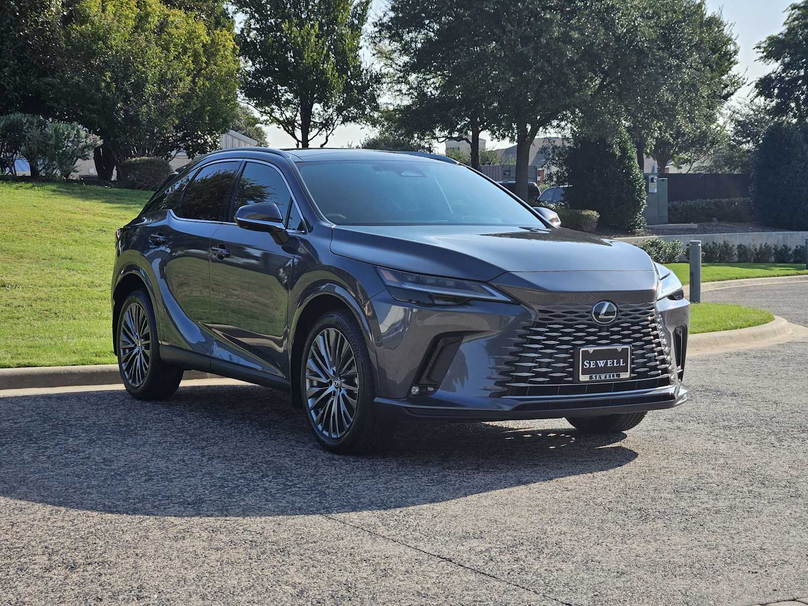 2024 Lexus RX 350 Luxury photo 2