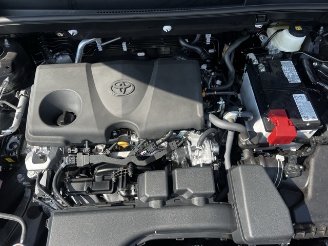 2025 Toyota RAV4 LE photo 20