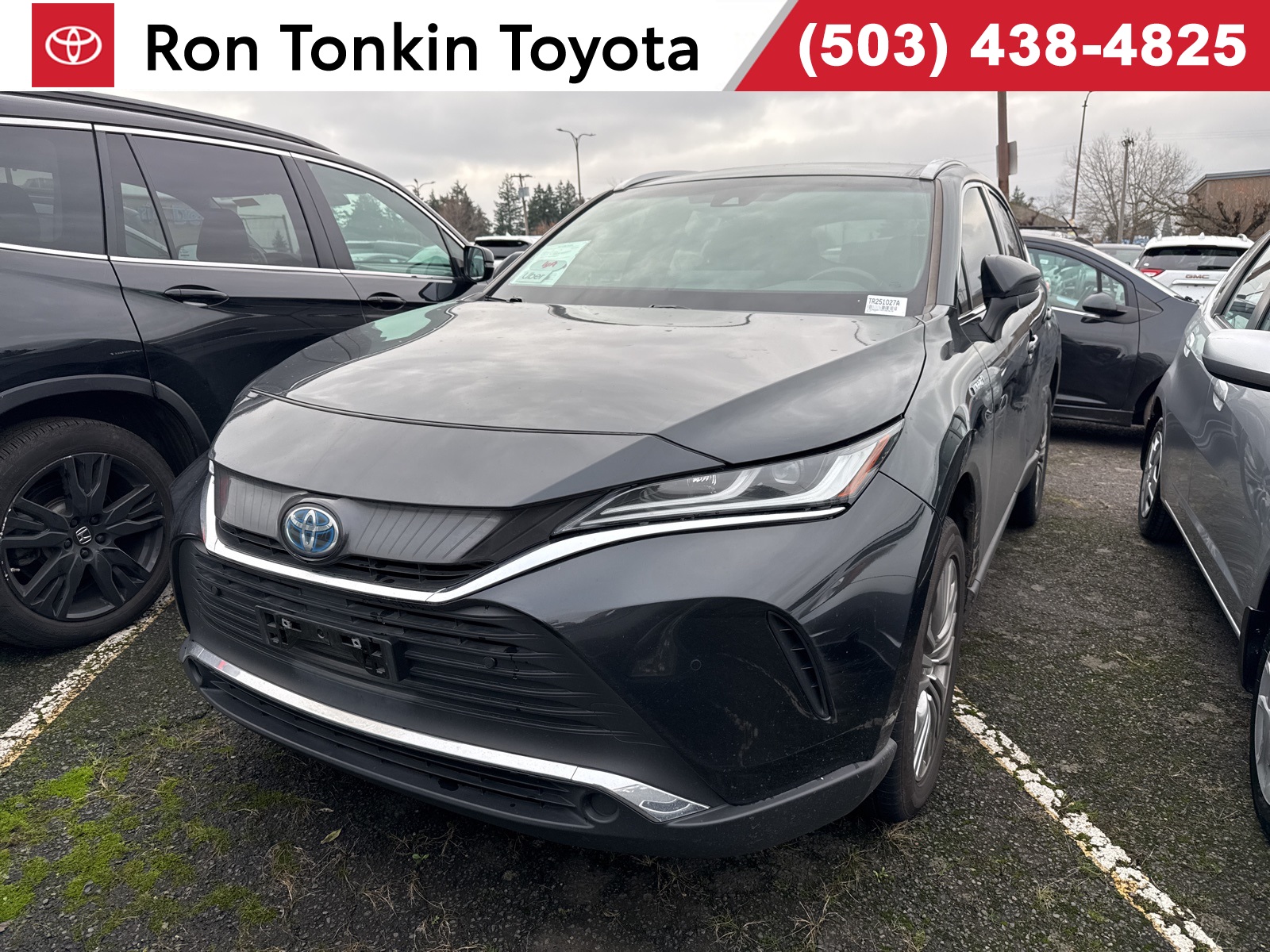 2021 Toyota Venza XLE's photo