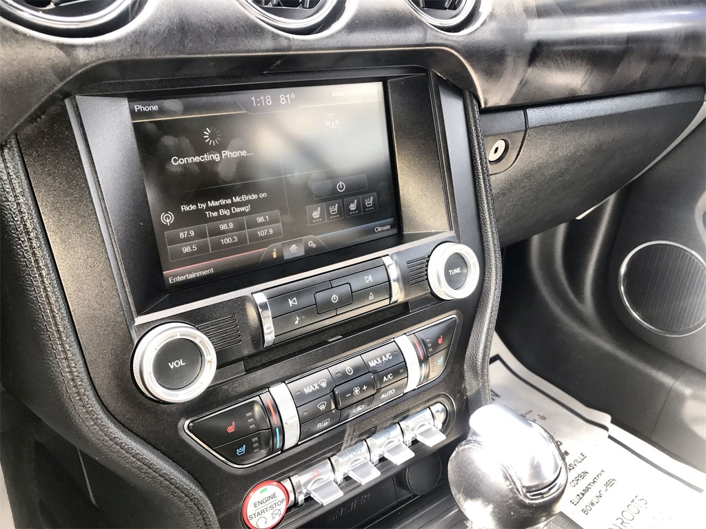 2015 Ford Mustang EcoBoost Premium photo 16