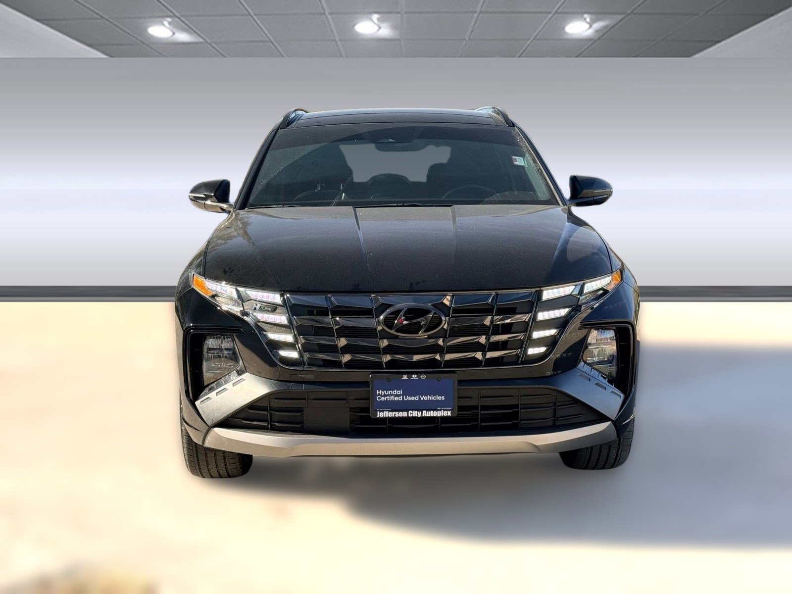 2023 Hyundai Tucson N Line photo 3