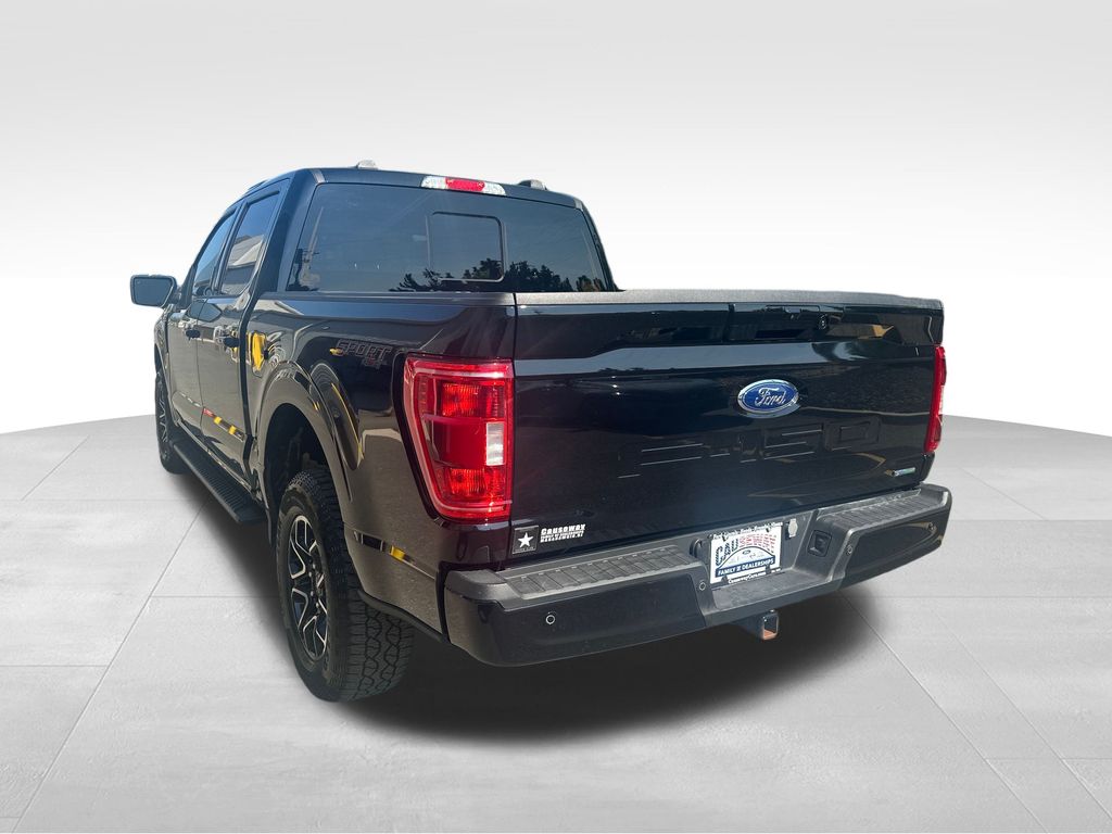 2023 Ford F-150 XLT photo 3