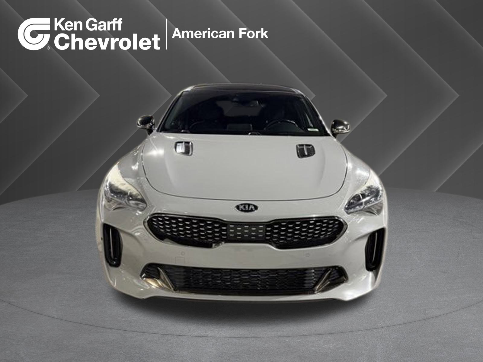 2019 Kia Stinger GT1's photo