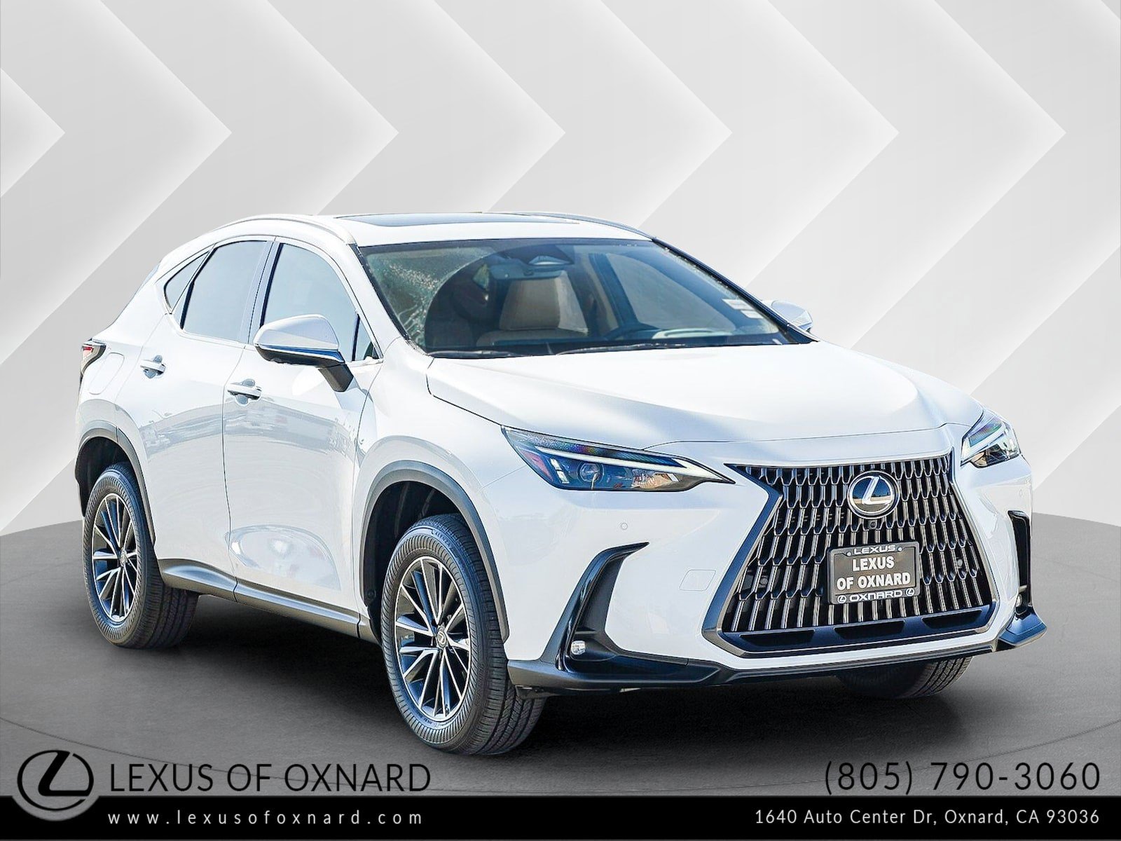 2026 Lexus NX PHEV 450h+'s photo