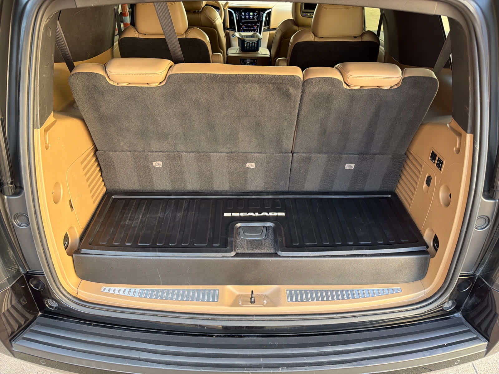 2018 Cadillac Escalade Platinum photo 23