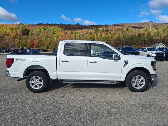 2025 Ford F-150 XLT photo 2