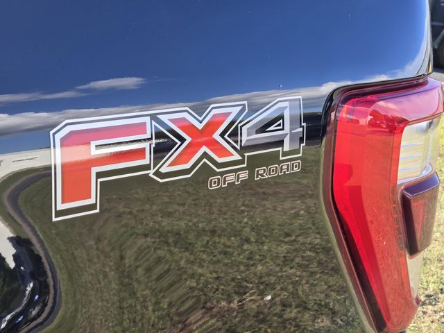 2023 Ford F-150 Platinum photo 10