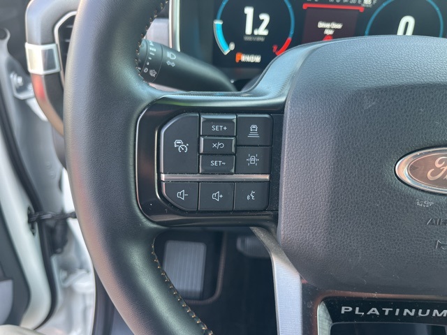 2023 Ford F-150 Platinum photo 14