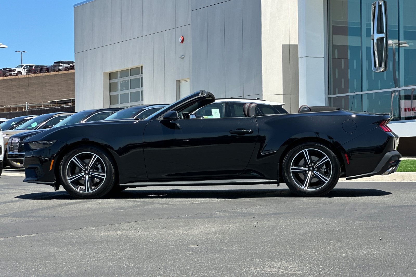 2025 Ford Mustang EcoBoost Premium Convertible photo 6