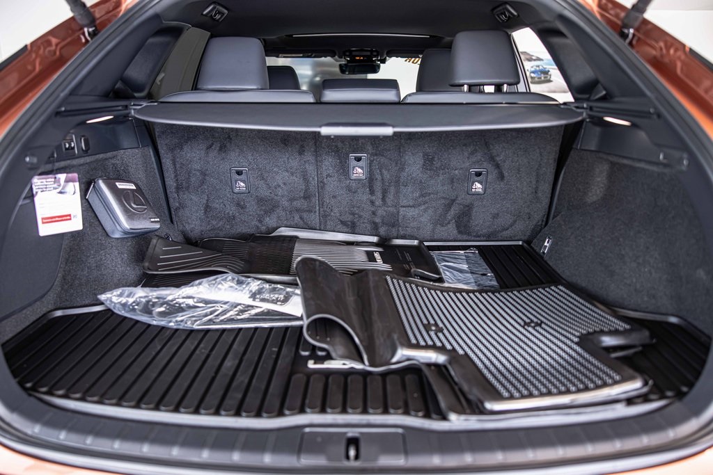 2025 LEXUS RX - Image 16