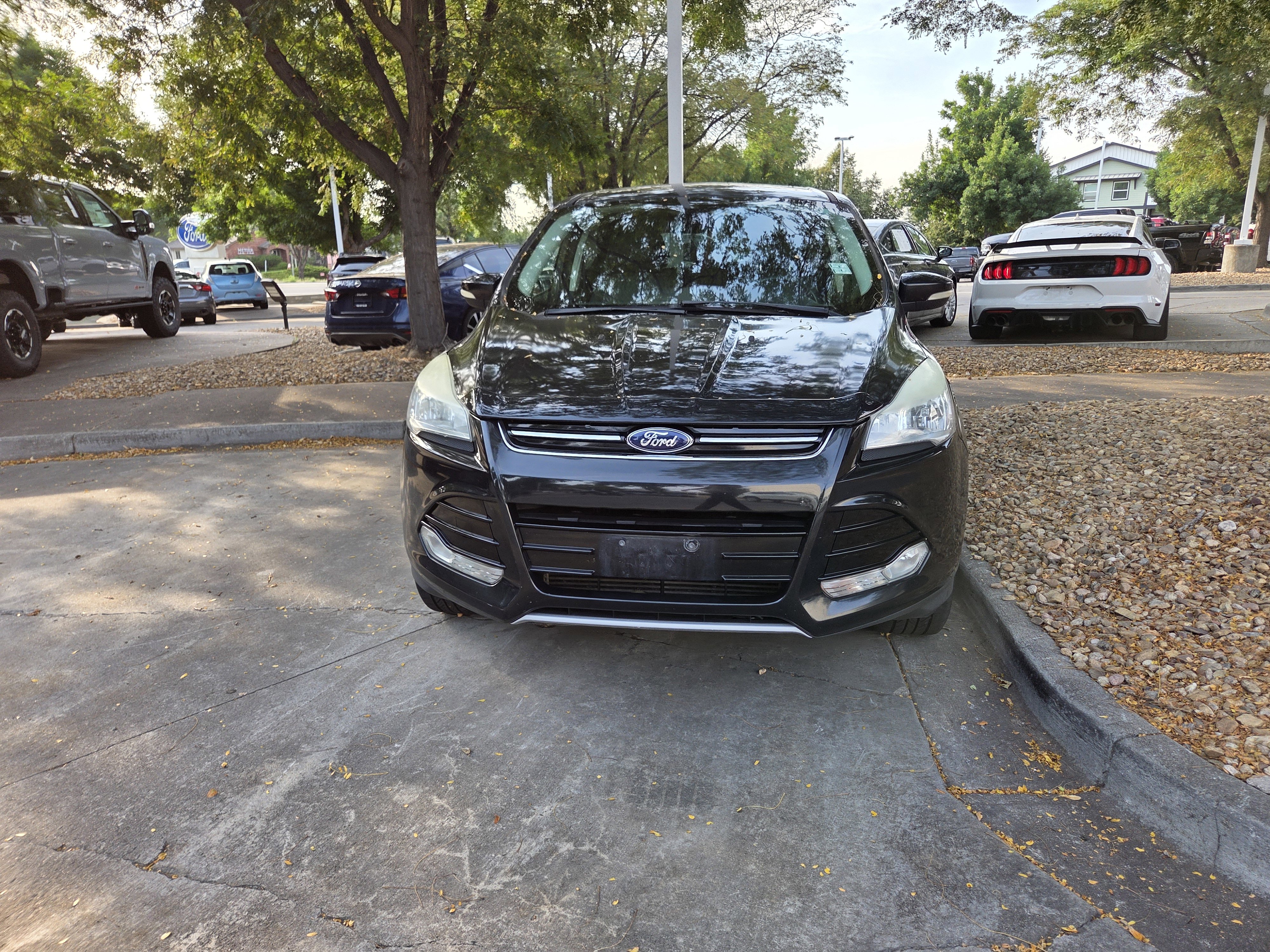 Used 2013 Ford Escape SEL with VIN 1FMCU9H94DUA87498 for sale in Fort Collins, CO